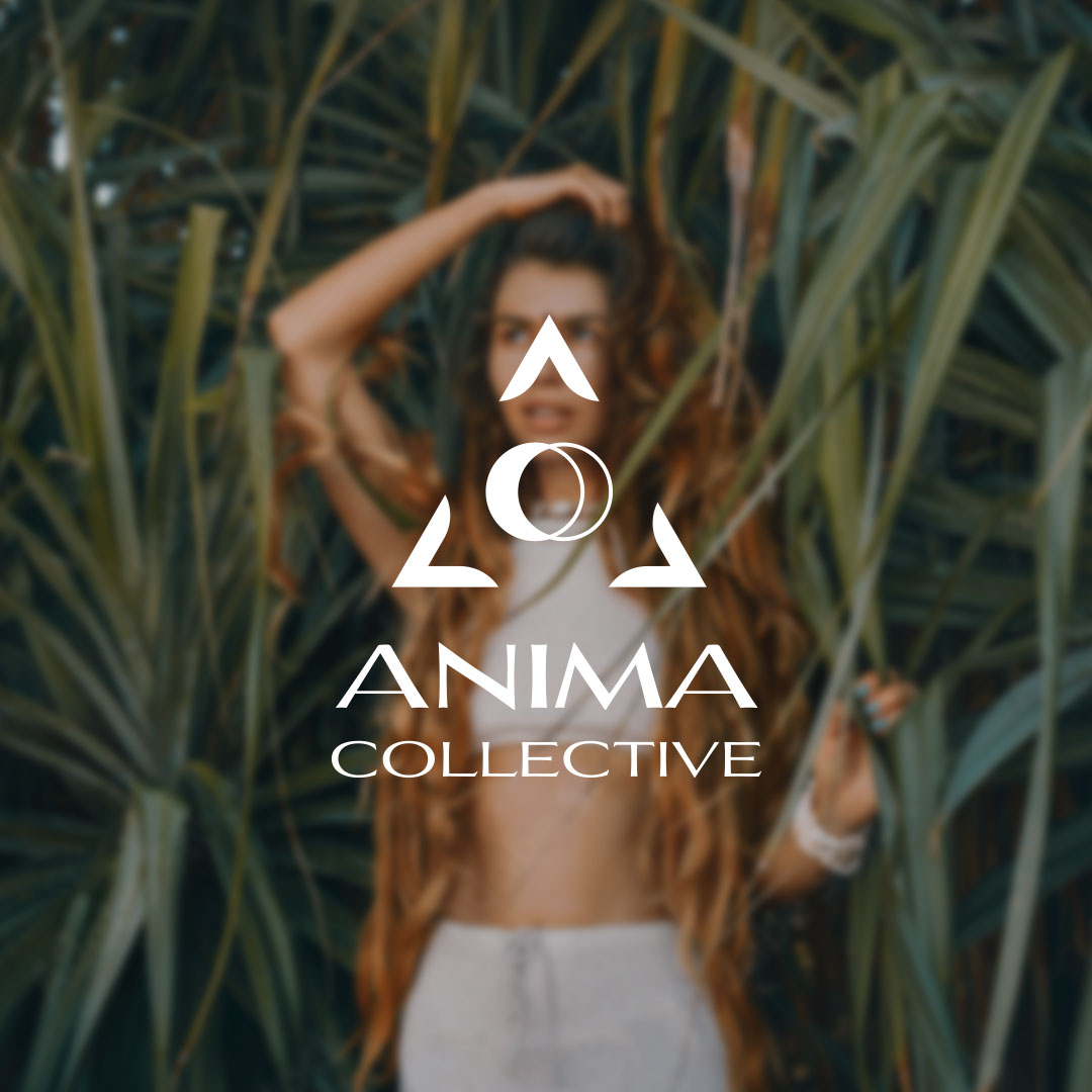 Anima Collective Project Cover